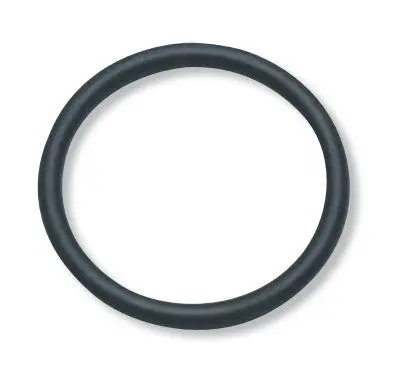 1" O Ring (1 piece)