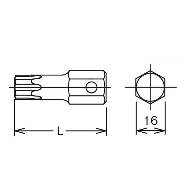 16mm Hex Dr. Bit TORXplus® 55IP  Length 50mm - Image 2
