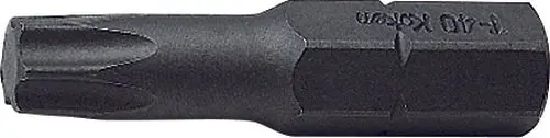 5/16 Hex Dr. TORX® T55 Bit - Length 32mm